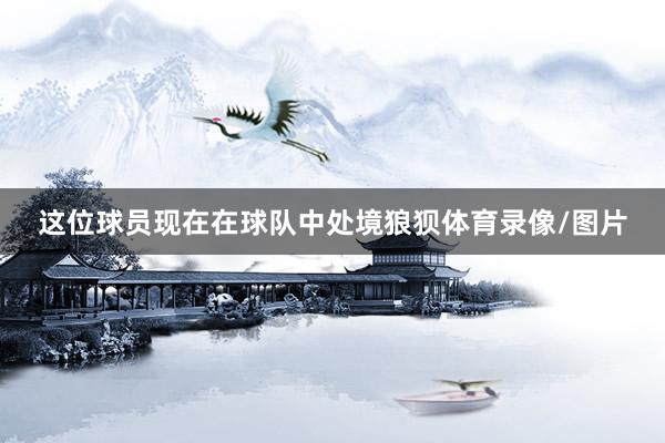 这位球员现在在球队中处境狼狈体育录像/图片