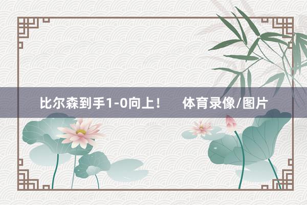 比尔森到手1-0向上！    体育录像/图片