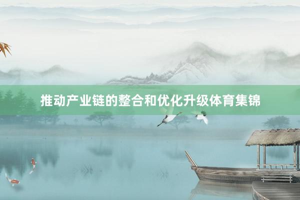 推动产业链的整合和优化升级体育集锦