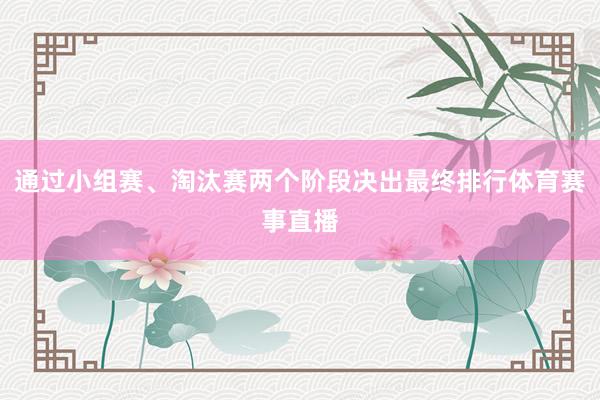 通过小组赛、淘汰赛两个阶段决出最终排行体育赛事直播