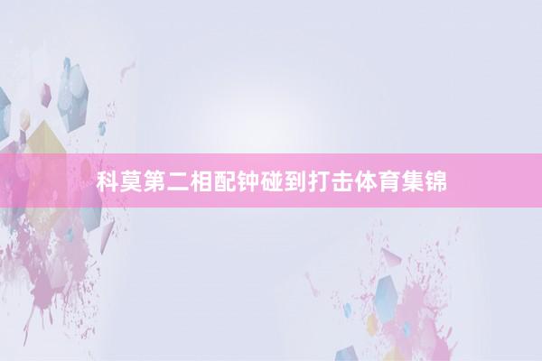 科莫第二相配钟碰到打击体育集锦