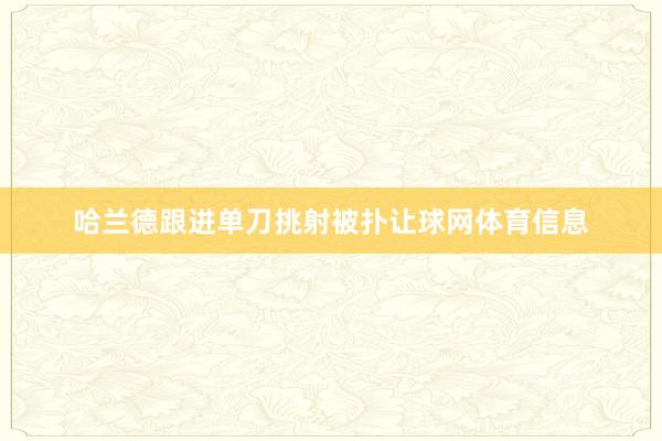 哈兰德跟进单刀挑射被扑让球网体育信息