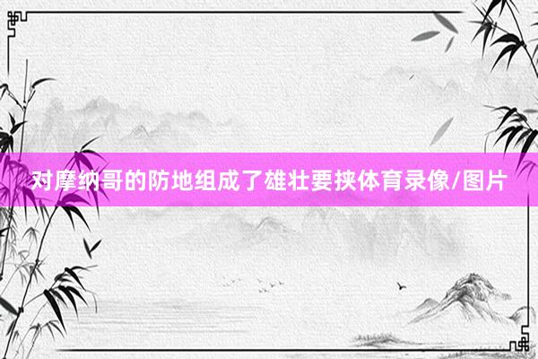 对摩纳哥的防地组成了雄壮要挟体育录像/图片