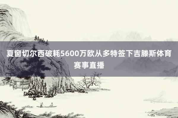 夏窗切尔西破耗5600万欧从多特签下吉滕斯体育赛事直播