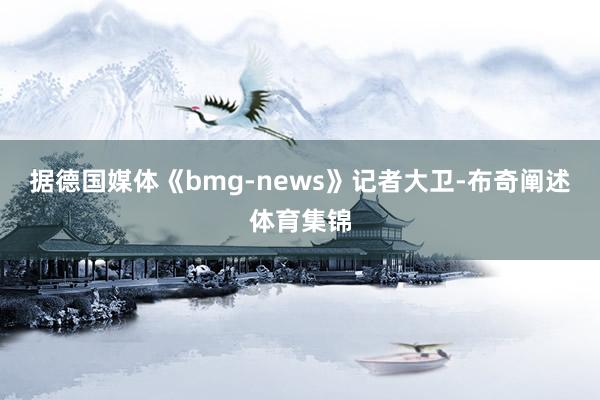 据德国媒体《bmg-news》记者大卫-布奇阐述体育集锦