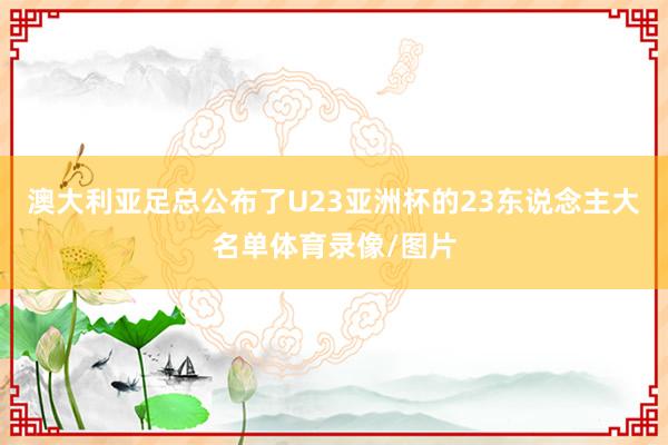 澳大利亚足总公布了U23亚洲杯的23东说念主大名单体育录像/图片