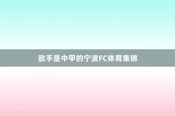 敌手是中甲的宁波FC体育集锦