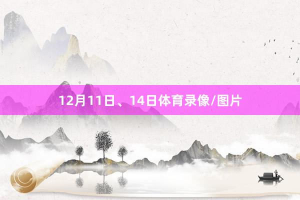 12月11日、14日体育录像/图片