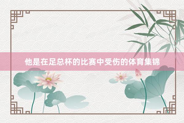 他是在足总杯的比赛中受伤的体育集锦