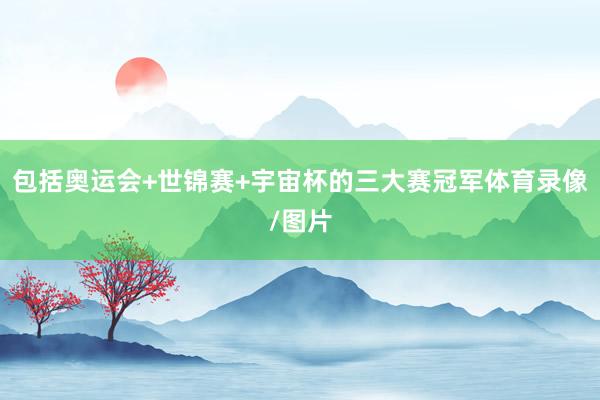 包括奥运会+世锦赛+宇宙杯的三大赛冠军体育录像/图片