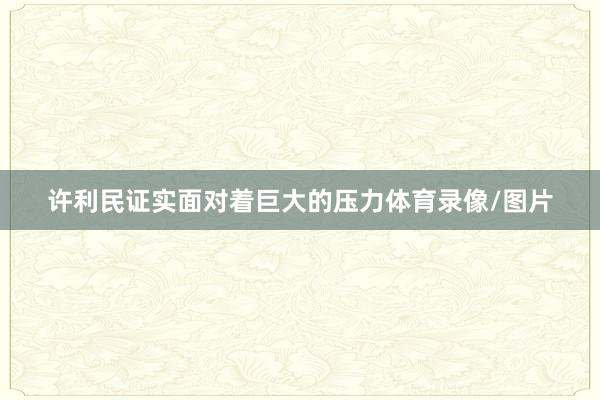 许利民证实面对着巨大的压力体育录像/图片