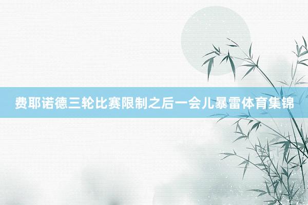 费耶诺德三轮比赛限制之后一会儿暴雷体育集锦